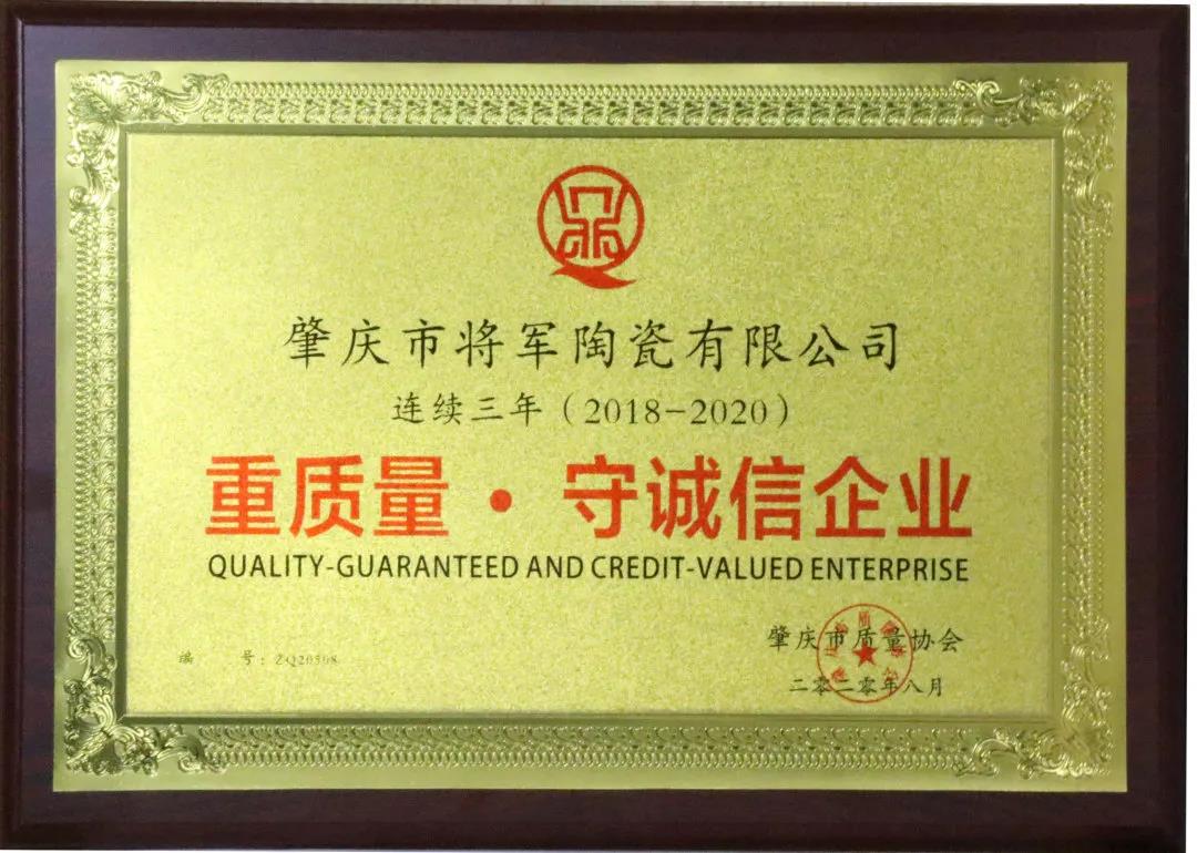 重磅 | 將軍企業(yè)實力捧回4大重量級獎項，獻禮建黨百年(圖3)